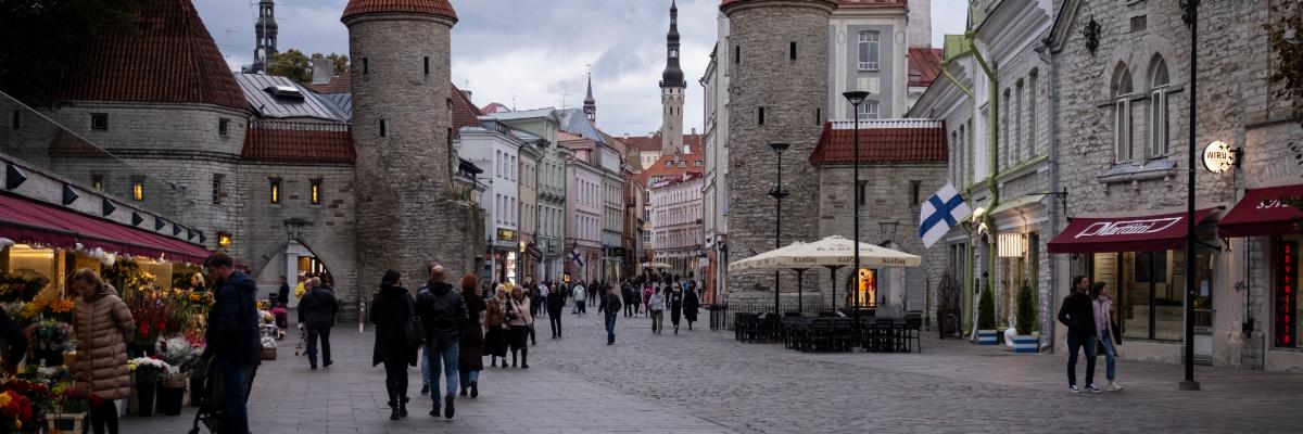 Serwis Estonya, yükseköğretim: üniversiteler, lisans, yüksek lisans, doktora -  v.TR (Estonia)